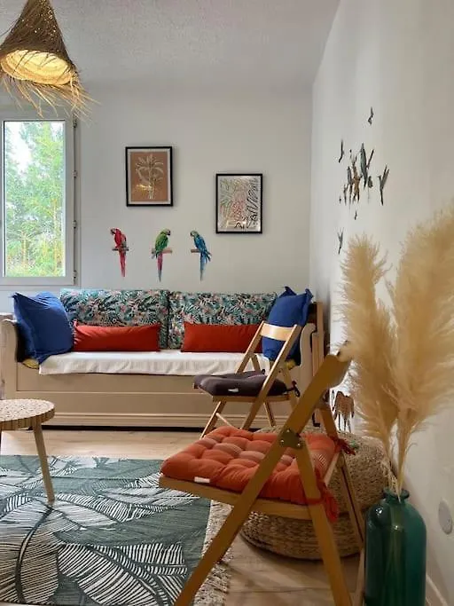 Apartment Appartement Balinais Lumineux Et Calme Avignon France